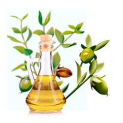 Aceite de Jojoba: Gran aliado del cabello y la piel 