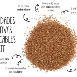 Teff, un cereal super remineralizante y sin gluten