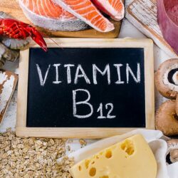 Vitamina B12: Esencial para nuestro organismo incapaz de producirla